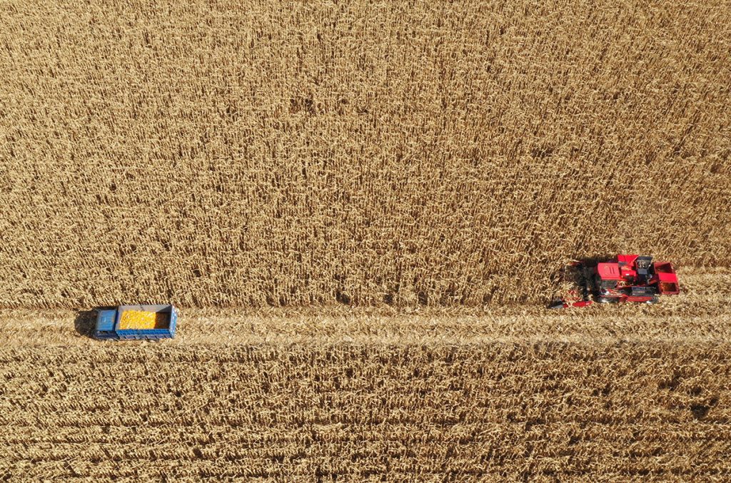 China Agriculture Innovation