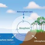 Understanding the components of our environment—lithosphere, hydrosphere, atmosphere, and biosphere—is pivotal to grasping the delicate equilibrium of life on Earth. Environmental science, with its interdisciplinary approach, assumes a critical role in confronting global challenges and forging a path toward harmonious coexistence with our surroundings. As conscientious stewards of our environment, it is our solemn duty to safeguard and preserve these components for the generations yet to come.