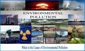 Our environment is a complex and interconnected web of life, consisting of both living and non-living elements. Understanding the environment, its ecosystems, and the consequences of human activities on it is crucial for the survival of life on Earth. As responsible stewards of our planet, it is imperative that we take proactive measures to mitigate the impact of our actions and protect the environment for future generations.