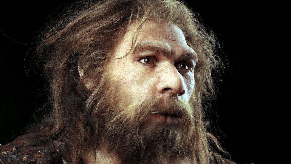 Scientists recently discovered 50,000-year-old viruses embedded in Neanderthal DNA, which may provide new insights into their mysterious extinction. These viruses, similar to those causing modern colds, cold sores, genital warts, and some cancers, might have played a significant role in the decline of the Neanderthals.Researchers examined DNA from two Neanderthals found in Southern Siberia's Chagyrskaya Cave, identifying three viruses: adenovirus, herpesvirus, and papillomavirus. The adenovirus is known for causing respiratory infections, while herpesviruses are linked to cold sores and genital warts, and papillomavirus is associated with some cancers, such as cervical cancer. The discovery of these viruses, dating back nearly 50,000 years, suggests that Neanderthals may have suffered from diseases that are familiar to us today. The presence of these viruses in Neanderthal DNA raises the possibility that ancient humans may have introduced these diseases to their Neanderthal relatives. This interbreeding between species, estimated to have occurred between 60,000 and 50,000 years ago, could have facilitated the transmission of these viruses. While it is unclear if the viruses caused the same symptoms in Neanderthals as they do in humans, their impact on health could have contributed to the species' eventual extinction. The Impact of Ancient Viruses on Modern Disease Understanding these ancient viruses not only sheds light on the fate of the Neanderthals but also offers valuable insights into modern diseases. Some viruses, like herpesvirus, remain in the body for a lifetime and can have long-term effects on human health. Recent research has even linked certain types of herpesvirus to multiple sclerosis, highlighting the ongoing impact of these ancient infections. However, studying ancient DNA poses significant challenges due to its degradation over time. The shorter DNA sequences of viruses make them particularly difficult to analyze, and the tools used for studying ancient human DNA may not be as effective for ancient viral DNA. Despite these challenges, researchers are hopeful that further studies will reveal more about the evolution of these viruses and their impact on both Neanderthals and modern humans. The discovery of 50,000-year-old viruses in Neanderthal DNA opens a new window into understanding the factors that led to their extinction. As scientists continue to investigate these ancient pathogens, they may uncover more about the interconnected history of Neanderthals and modern humans and the diseases that have shaped our evolution.